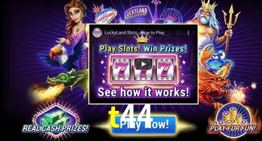 Live Casino t44